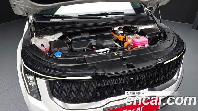 Kia Carnival 2024 — ფოტო 6/20