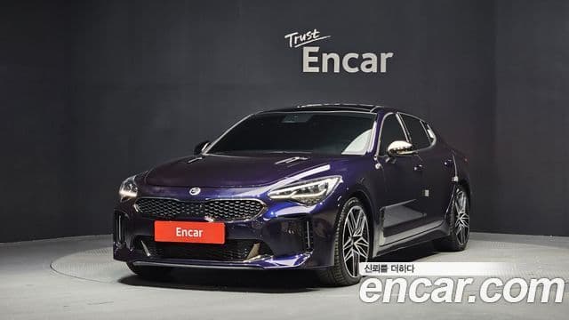 Kia Stinger 2021 — ფოტო 20/20