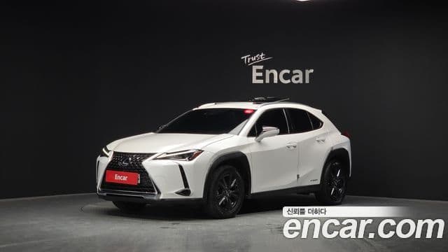 Lexus UX250h 2020 — Şəkil 6/20