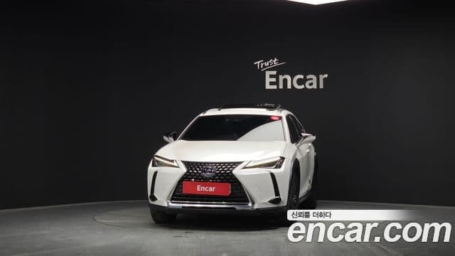 Lexus UX250h 2020 — Şəkil 15/20
