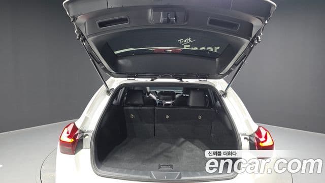 Lexus UX250h 2020 — Şəkil 10/20