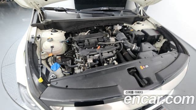 Kia Sportage 2021 — ფოტო 6/20