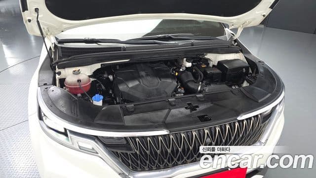 Kia Carnival 2020 — ფოტო 6/20