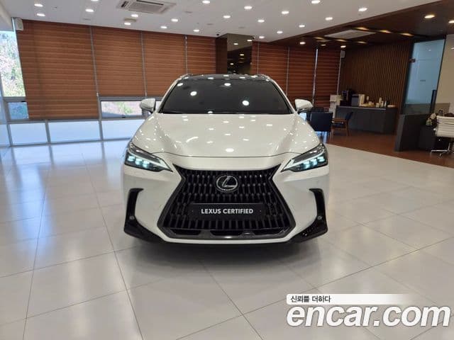 Lexus NX350h 2024 — ფოტო 2/15