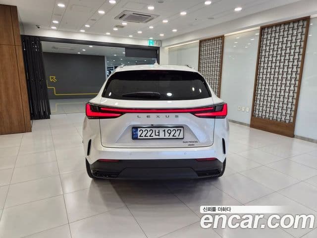 Lexus NX350h 2024 — ფოტო 3/15