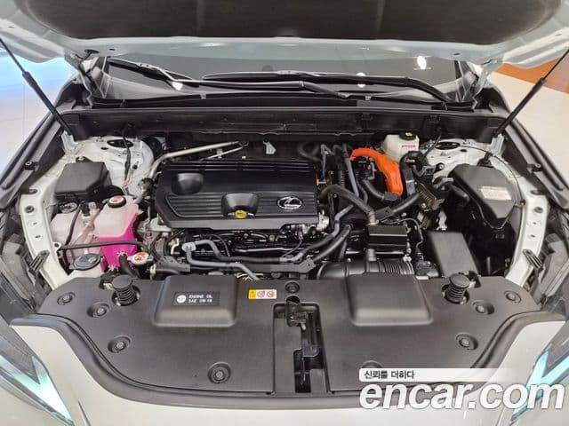 Lexus NX350h 2024 — ფოტო 4/15