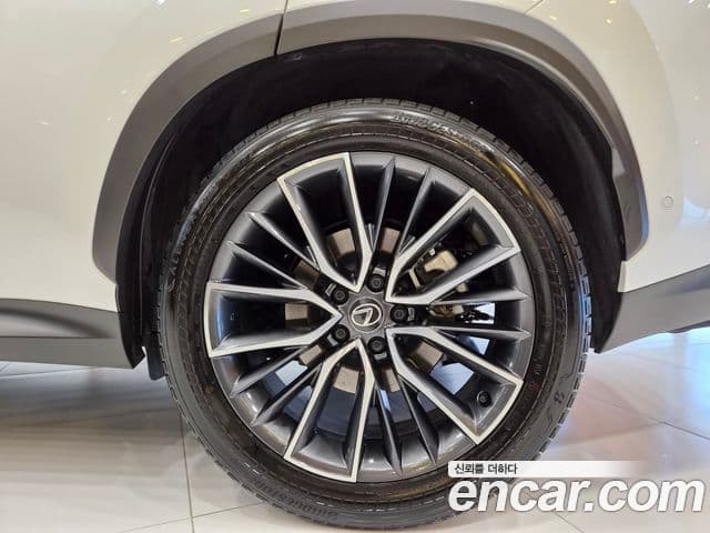 Lexus NX350h 2024 — ფოტო 6/15