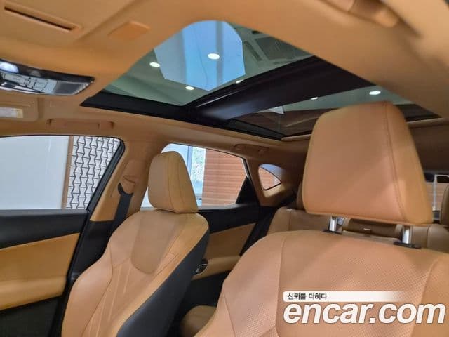 Lexus NX350h 2024 — ფოტო 7/15