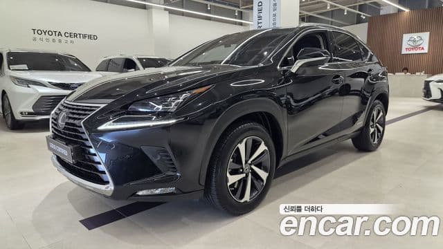 Lexus NX300h 2021 — Şəkil 20/20