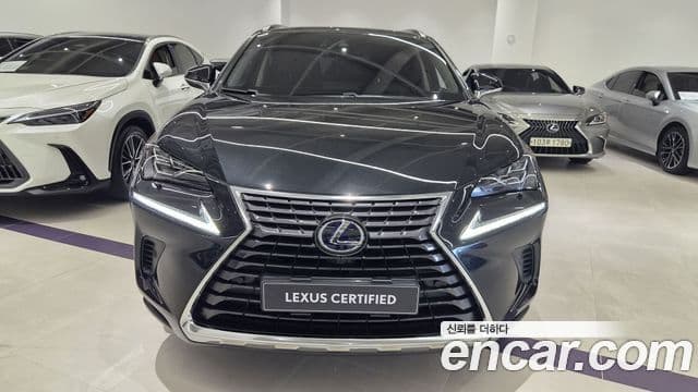 Lexus NX300h 2021 — Şəkil 2/20