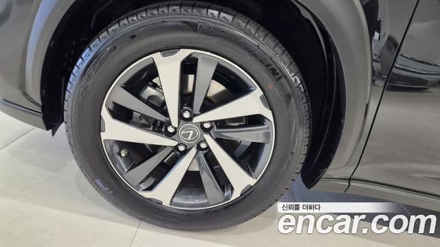 Lexus NX300h 2021 — Şəkil 4/20