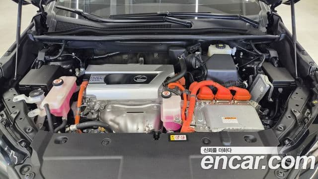 Lexus NX300h 2021 — Şəkil 5/20