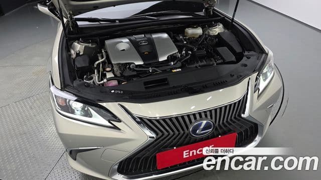 Lexus ES300h 2020 — Şəkil 6/20