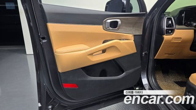 Kia Sorento 2020 — ფოტო 24/32