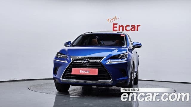 Lexus NX300h 2019 — ფოტო 3/20