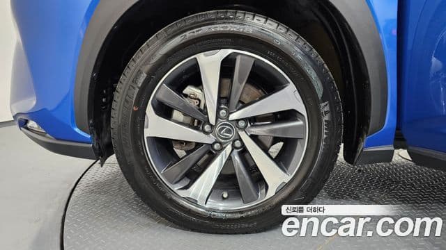 Lexus NX300h 2019 — ფოტო 5/20