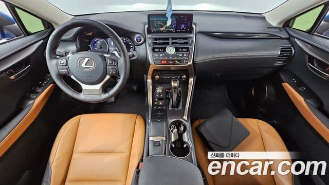 Lexus NX300h 2019 — ფოტო 7/20