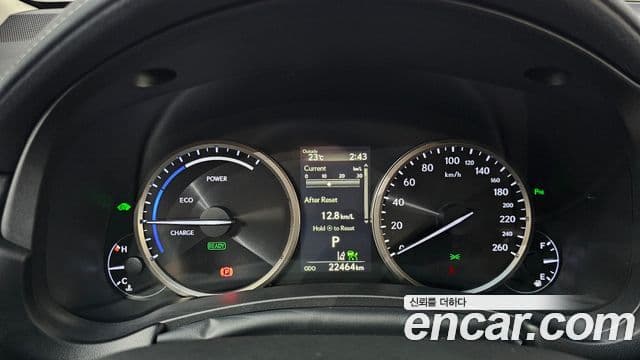 Lexus NX300h 2019 — ფოტო 8/20