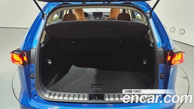 Lexus NX300h 2019 — ფოტო 20/20
