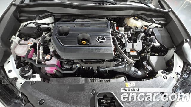 Lexus UX300h 2024 — Şəkil 6/20