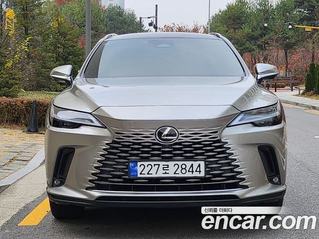 Lexus RX350h 2023 — ფოტო 9/20