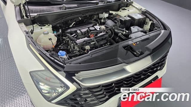 Kia Sportage 2024 — фото 6 из 20