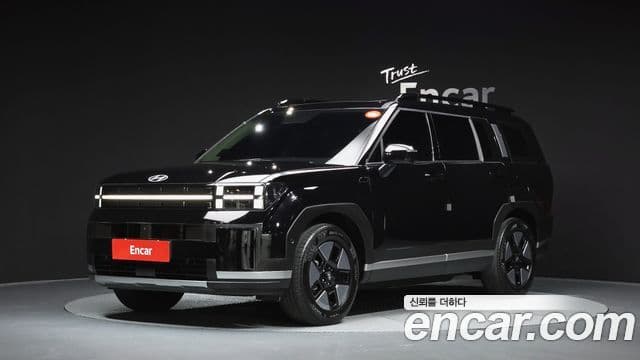 Hyundai Santa Fe 2024 — ფოტო 1/20