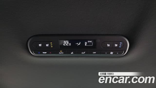 Hyundai Palisade 2025 — ფოტო 19/20
