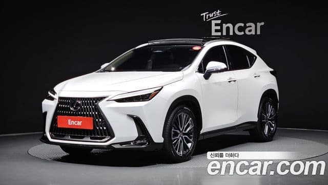 Lexus NX350h 2024 — Şəkil 20/20