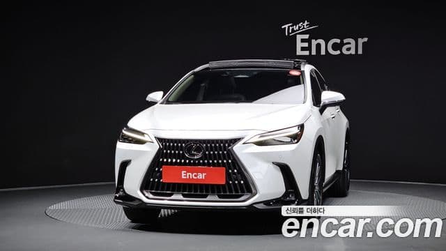 Lexus NX350h 2024 — Şəkil 2/20