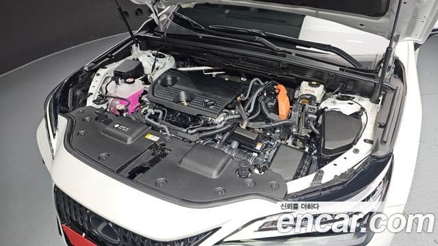 Lexus NX350h 2024 — Şəkil 5/20