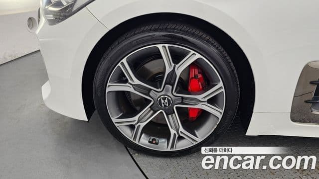 Kia Stinger 2019 — ფოტო 5/20