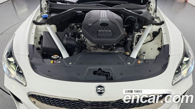 Kia Stinger 2019 — ფოტო 6/20