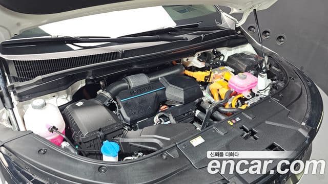 Kia Carnival 2024 — ფოტო 20/20