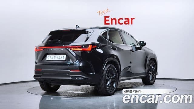 Lexus NX350h 2023 — ფოტო 2/20