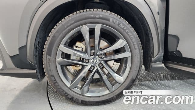 Lexus NX350h 2023 — ფოტო 5/20
