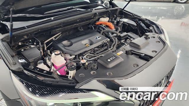 Lexus NX350h 2023 — ფოტო 6/20