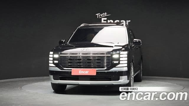 Hyundai Palisade 2025 — ფოტო 20/20