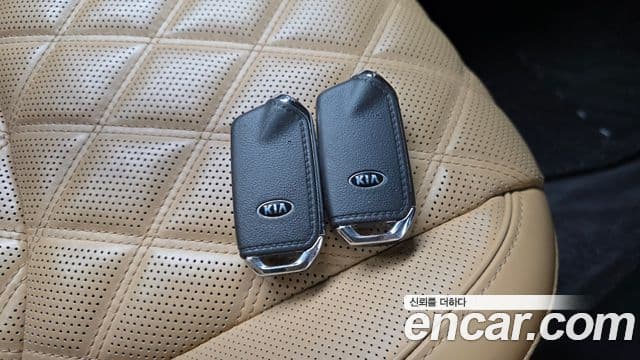 Kia Mohave The Master 2020 — ფოტო 18/20