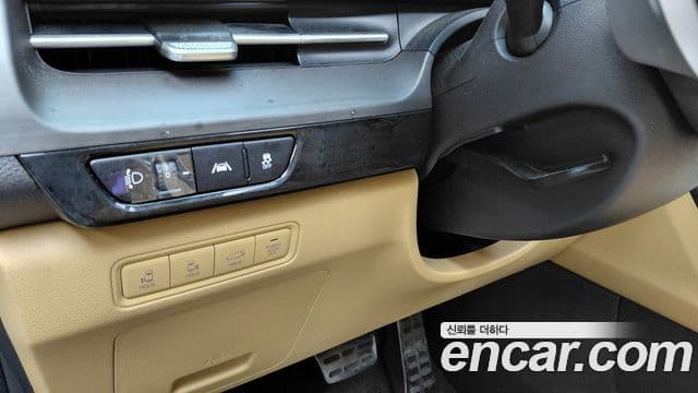 Kia Carnival 2020 — ფოტო 20/20
