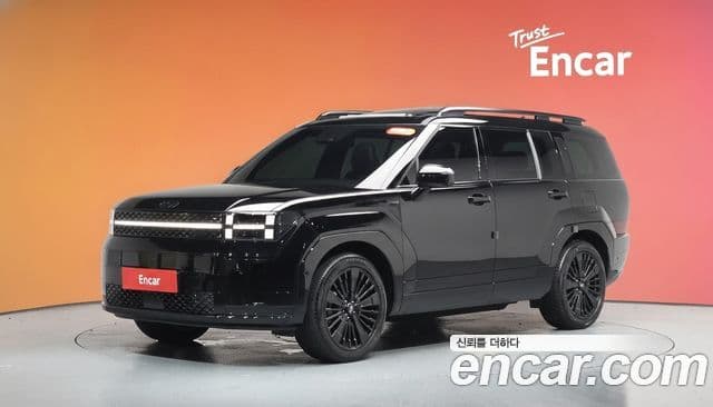 Hyundai Santa Fe 2024 — ფოტო 1/20