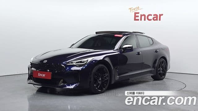 Kia Stinger 2020 — ფოტო 11/20