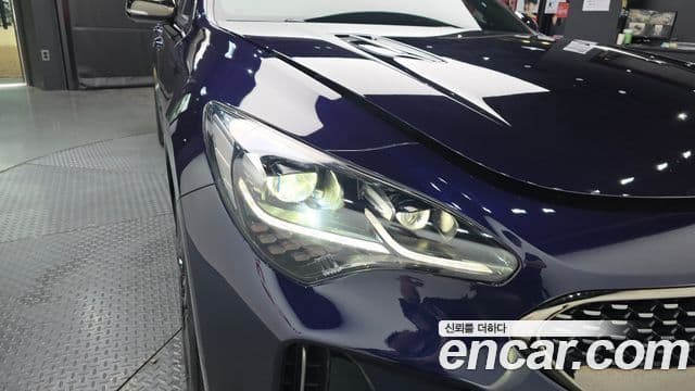 Kia Stinger 2020 — ფოტო 14/20