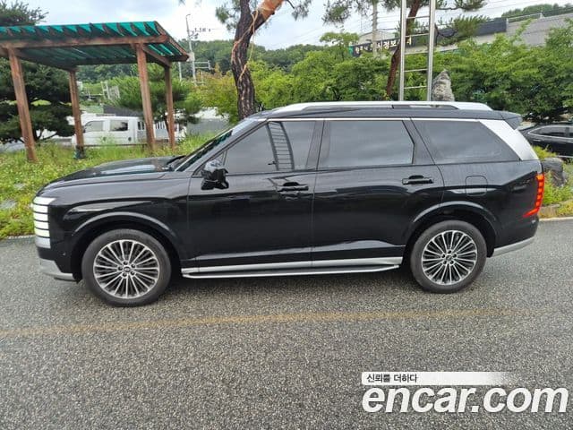 Hyundai Palisade 2025 — ფოტო 2/20
