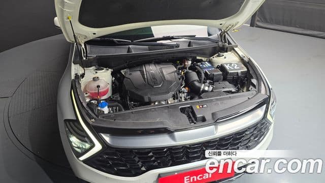 Kia Sportage 2024 — ფოტო 6/20
