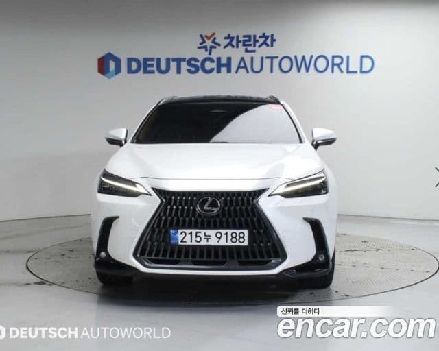 Lexus NX350h 2024 — Şəkil 2/20