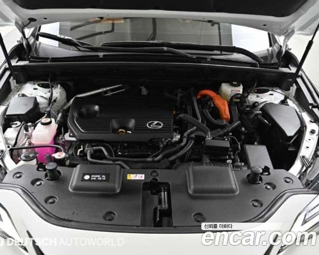 Lexus NX350h 2024 — Şəkil 5/20
