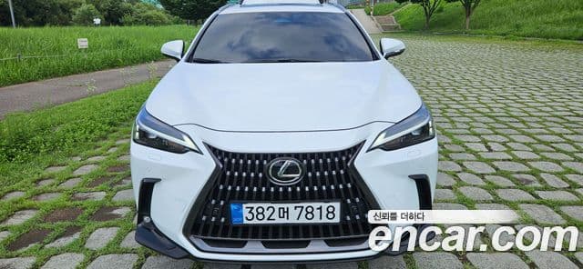 Lexus NX350h 2026 — ფოტო 9/20
