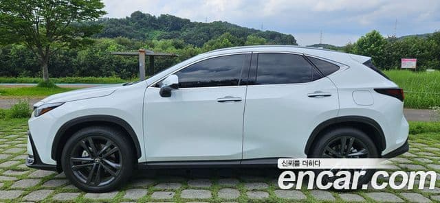 Lexus NX350h 2026 — ფოტო 2/20