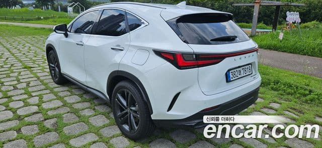 Lexus NX350h 2026 — ფოტო 3/20